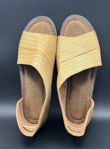 Sophia taylor basket - taylor,