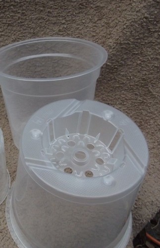 Clear orchid pot 15cm - 10,