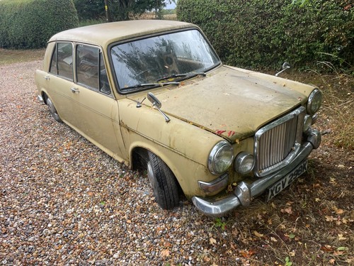 Austin princess 1300 - princess, vanden
