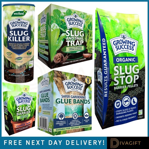 Growing success slug snail - growing,