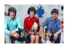 The Magic Roundabout Childrens