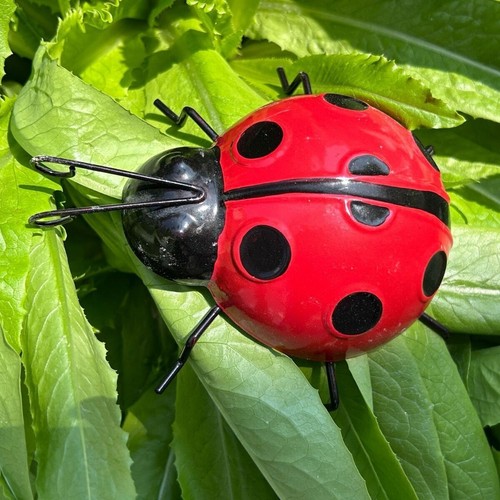 Metal ladybug ladybird - 2x,
