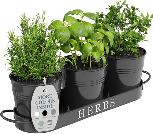 Indoor herb garden - garden, set