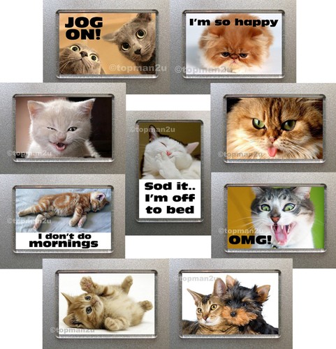 New quality fridge magnets - new,,