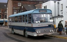 Scotts Greys, Darlington