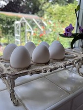 Vintage cast iron egg holder - iron, 8