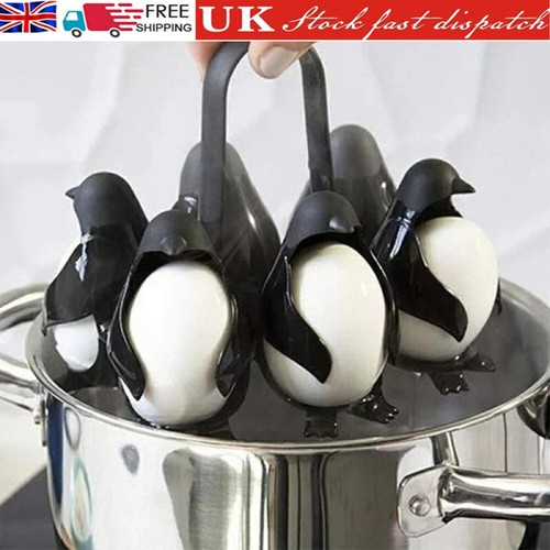 Cook store and serve - store, egg