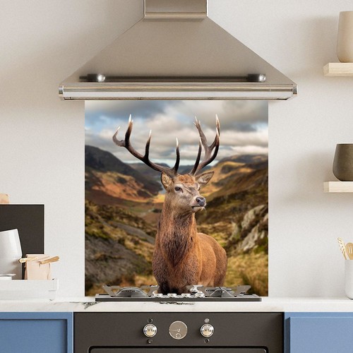 Premium various sizes stunning - premium,