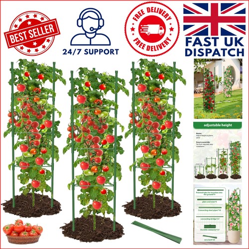 Versatile tomato plant - versatile,
