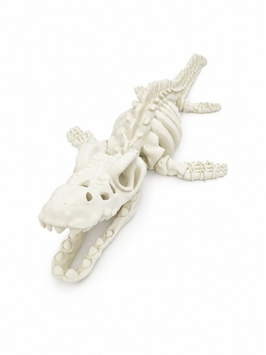 Mosasaur skeleton aquarium - xl,