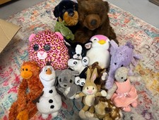 Teddy soft toy - soft,