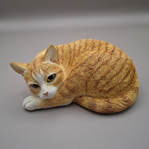 Country artists ginger tabby - country,