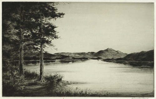 Johnstone baird - johnstone,