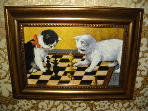 Kittens play chess 6 - 4, gold