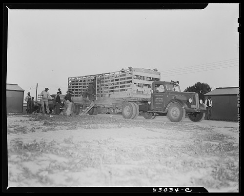 Photo 1930s semi truck - truck, of