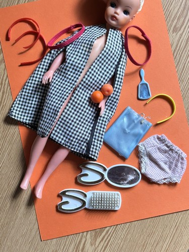 Vintage 1960s pedigree - vintage,
