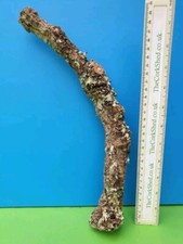 CORK BARK BRANCH 32CM LEOPARD