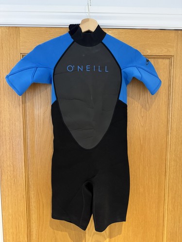 Oneill kids reactor - reactor, ii