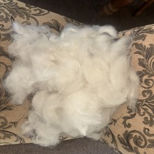 Washed /scoured  Alpaca