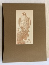 Tunnicliffe’s Birds 