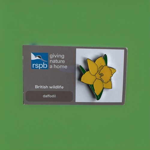 Rspb pin badge daffodil - daffodil,