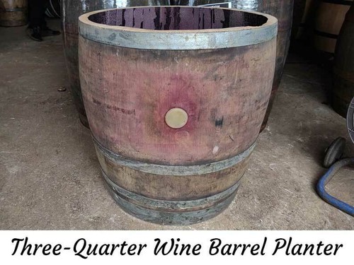 Oak wine barrel planter - oak,