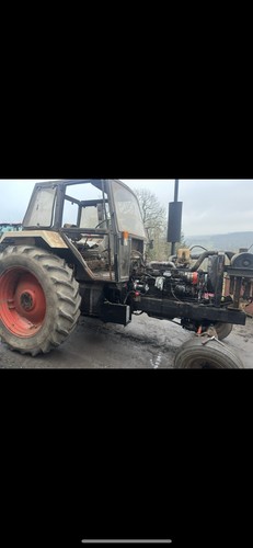 David brown 1594 - brown, case