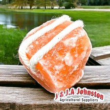 2 x HIMALAYAN ROCK SALT LICK