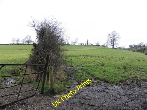 Photo 6x4 muddy field - photo,