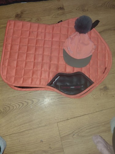 Lemieux sorbet m saddle - lemieux, cc