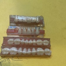 Portex Acrylic Teeth 1960s