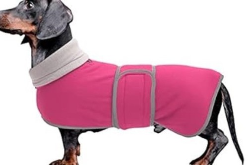 Dachshund fleece coat - dachshund,