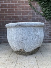 Very Large Rustic Atlantis