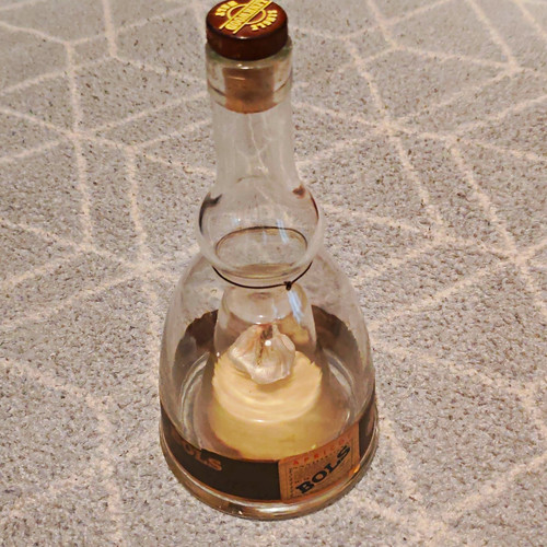 Bols ballerina apricot glass - bols,