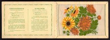 KENSITAS SILK FLOWERS - Postcard Size (Printed Back) - Chrysanthemum ~ Sunflower