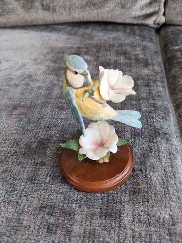 Country artists blue tit - blue,