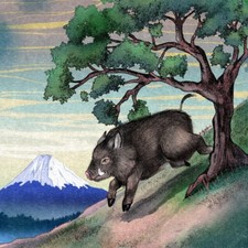 Spinlord Keiler II half-long