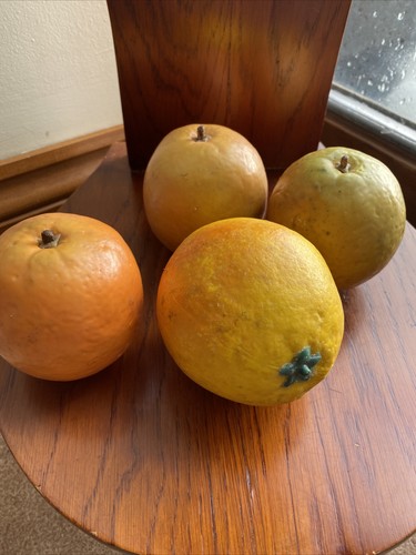 Display artificial fruit - display,