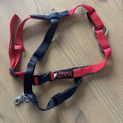 Halti dog harness for - for, large