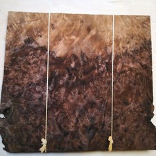  Burr/Burl Walnut