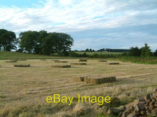 Photo 6x4 hay bales - photo,