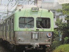 Green Max N Scale/Gauge Basic