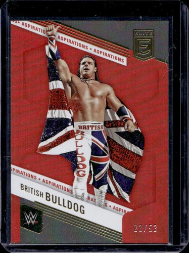 British bulldog davey - bulldog, boy