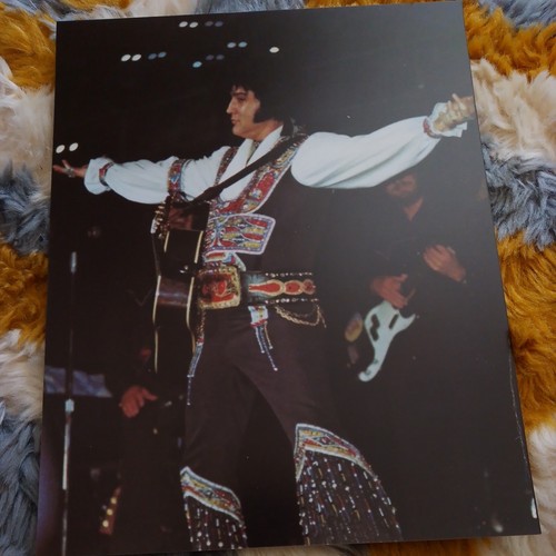 Original elvis presley - elvis, 8x10