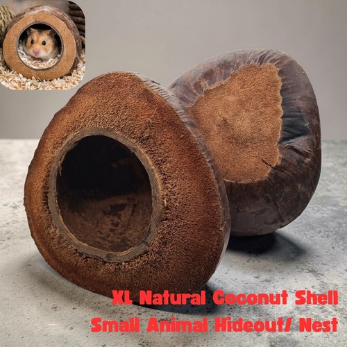 Coconut shell hideout house - xl,