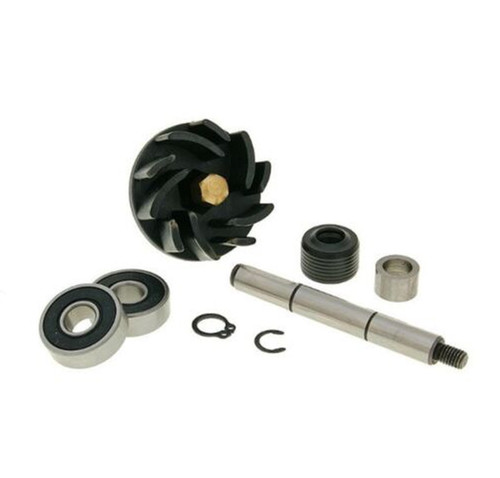 Kit overhaul water pump