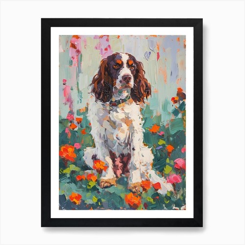 English springer spaniel - springer,