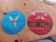 Wasp blue pigeon - wasp,