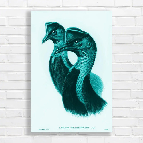 Elegant bird nature wildlife - elegant,