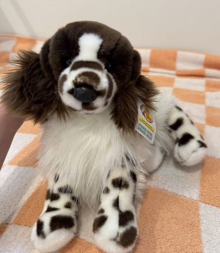 Ogilvy springer spaniel - ogilvy,
